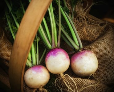 How To Grow Turnips And 3 Ways To Store Them Over Winter!