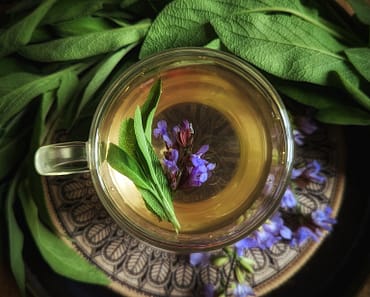 How To Grow Sage and Make Sage Tea and 7 ways it can heal!